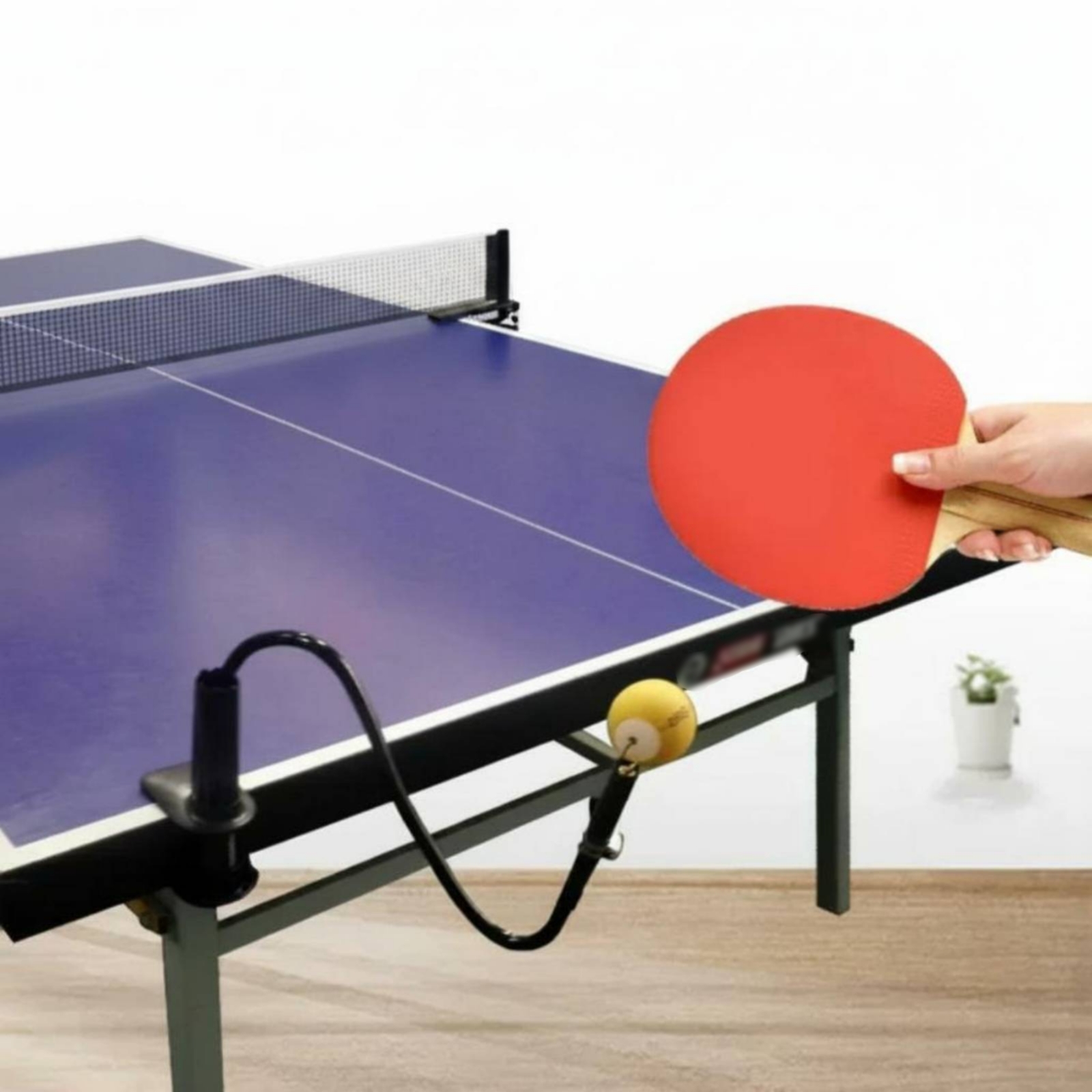 Auxílio para Prática Individua - Table Tennis Youtube avaliação e preço